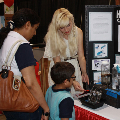 ddos在线压力测试平台